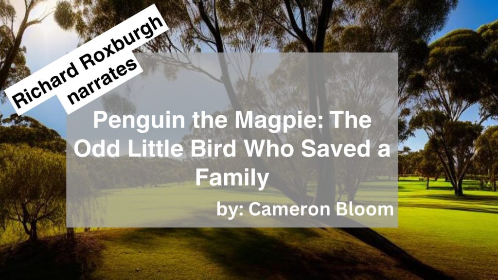 Richard Roxburgh Narrates Penguin the Magpie: The Odd Little Bird Who Saved a Family by Cameron Bloom