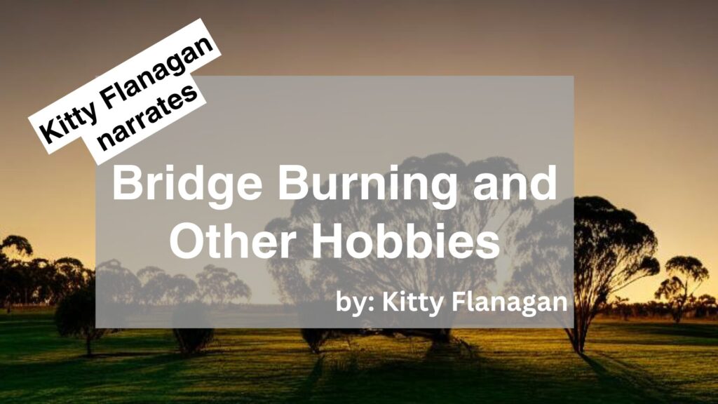 Kitty Flanagan Narrates Bridge Burning and Other Hobbies by Kitty Flanagan