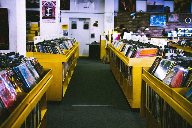 vinyl record store for collectors